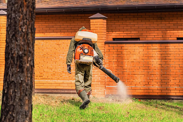 Trusted Emergency Pest Control service in Soap Lake, WA - Nex Pest Control